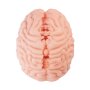 Motsutoys Brain Hacked DX Masturbateur 1,2 Kg Beige