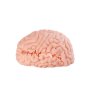 Motsutoys Brain Hacked DX Masturbateur 1,2 Kg Beige