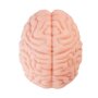 Motsutoys Brain Hacked DX Masturbateur 1,2 Kg Beige