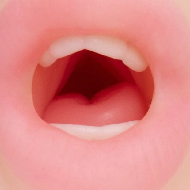 Motsutoys Nupu 3 Lèvres vaginales Vagin de poche 0,49 Kg Beige