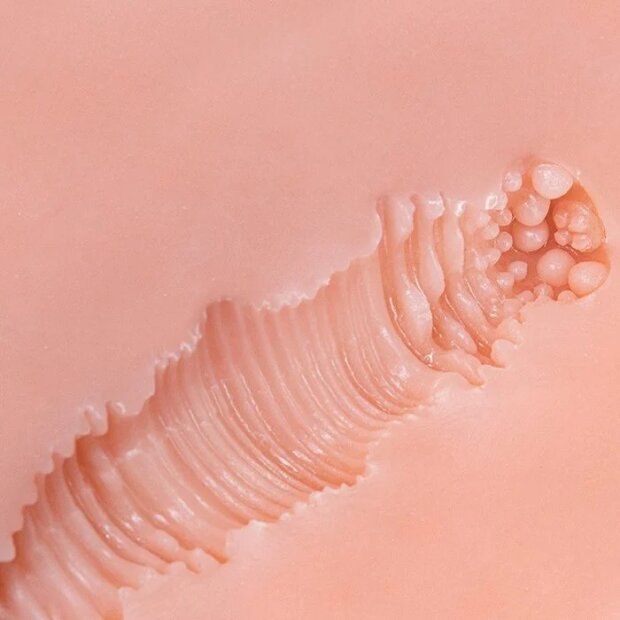 Motsutoys Seiraku Shemale Doll Torso 9,2 Kg Beige