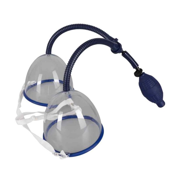 Busensaugschalen "Easy Grow"