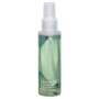 FLESHLIGHT Toy-Cleaner Wash 100 ml