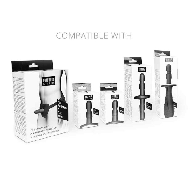 HUNG System Marcel Flesh