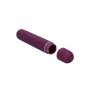 Bullet Vibrator Extra Long Purple